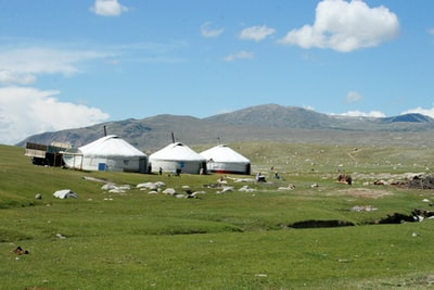 Three white tent
